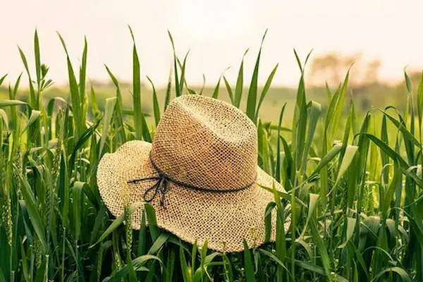 راهنمای خرید کلاه حصیری کشاورزی + قیمت عالی